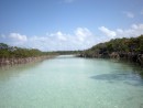 Creek Divides the Mangroves at Shroud Cay