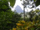 View of Petit Piton from top of Gros Piton