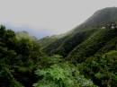 Lush Valley (Saba)