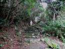 Mt. Scenery Trail (Saba)