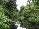 These canos (creeks) are where the wildlife lives, and they get smaller and smaller as they penetrate the rain forest and jungle.