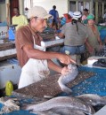 Fish vendor Bartica Fresh Market 
