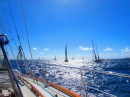 Jockeying for position at the start of the Tahiti-Moorea Race...
