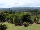View of Waipoua Forest from Lookout
