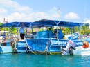 Fishing fleet in Marina La Cruz