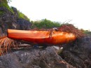 Niuean canoe