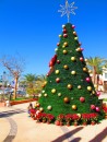 Christmas Tree at Marina Costa Baja