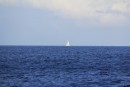 Bacchus sailing past 5nm away