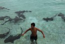 Marc testing his courage with sharks...they