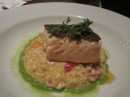 Bluefin in Times Square: Roasted salmon on risotto and herbed sauce. One of the best meals (and the most expensive) we had.
