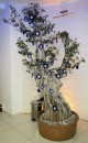 In the lobby of our hotel in Amaysa (The Apple Palace Hotel) stands this striking evil eye tree.