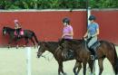 Amaya and two others exercising their horses