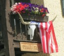 Someone in Diessen wished all of us "Amis" a Happy Fourth of July using the skull of what looks to be a Texas Longhorn!