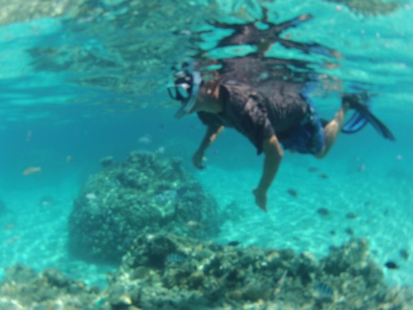 Snorkeling in the Coral Gardens area.  Look at all those fishy