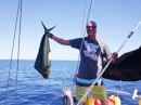 Beautiful Mahi Mahi we caught on our way to Savusavu.  Unfortunately, the fish did a death flop and flopped right off the boat.