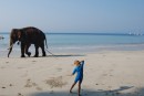 kara was beyond excited at seeing the elephant on the beach