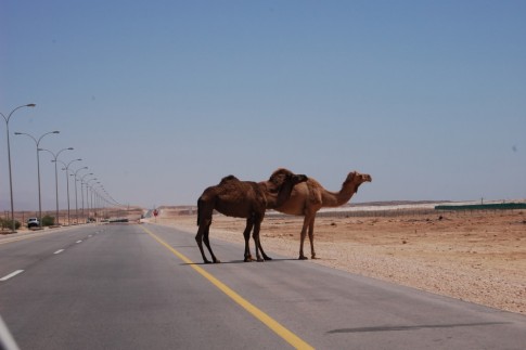 The right of way in Oman