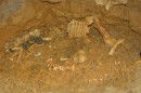 The bones of an animal who entered but did not exit Waitomo Caves