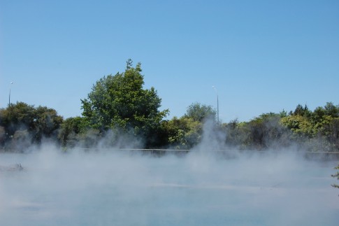 Roturua steaming thermal area