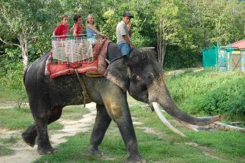 Elephant ride in Langkawi