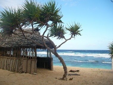 hut at the beach