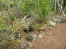 tortoise sanctuary
