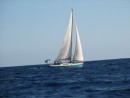 Gorgeous Valiam sailing along to Savu Savu