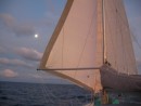 sailing in the moonlight