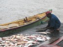 Fisherman on the pontoon we share