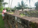 iguana watching old pond ile royale