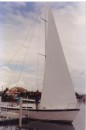 1st new sails 1994