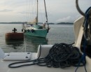 Gatun lake buoy