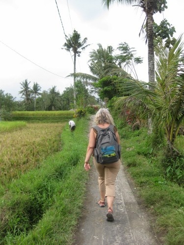My new hip doing well walking through the rice fields