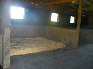 King size bed for elephant