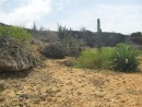desolate landscape Bonaire