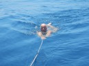 Swimming as we sailed close to the equator.