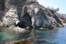 Kelp and rock walls