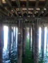 Under the Boardwalk/Pier
