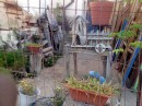 This was the little garden/outdoor space to a VERY ramshackle house - more tarp and old recycled wood than anything else, but I loved this little art garden