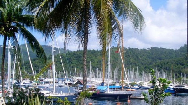 Typical view of Chaguaramas - sticks and more sticks