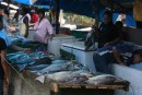There were enough fish at the Suva fish market to feed all of Fiji - in every shape and color!  Hopefully you can blown this up to see how interesting they all are!