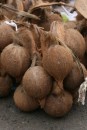 Coconuts are sold by the hundreds at the market.  Both the flesh and the cream are used in lots of dishes - from curry to palusami.