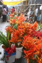 I sure wish the Lautoka market would have flowers like these - you can be sure I
