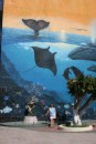 A Wyland painting on the side of a building in La Paz.  There is also one of his beautiful sculptures of sea turtles at the base (by me!)