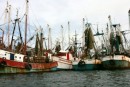 The shrimp boats get so squished together, its hard to imagine how they get them all back out again undamaged!
Topolobampo