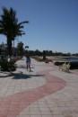 The board walk in La Paz.  A wonderful walk along the water with coconut trees and beautiful sculptures!  I