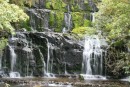 Ahhh!  Now this is more like it!  We saw so many waterfalls that Glen finally went on a boycott - his new motto is "Just say NO to waterfalls!"  This is Purakaunui Falls in the Catlins.