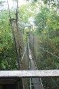 Thank goodness the canopy walkway bridge was closed for repairs - I didn