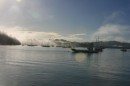 The morning we checked out of New Zealand was foggy, but made for some real pretty views on the water.
