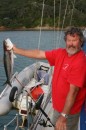 While anchored in the Tryphena Wharf area on Great Barrier Island, Glen caught quite a few fish right from the boat at anchor.  We think this one was a kowai.